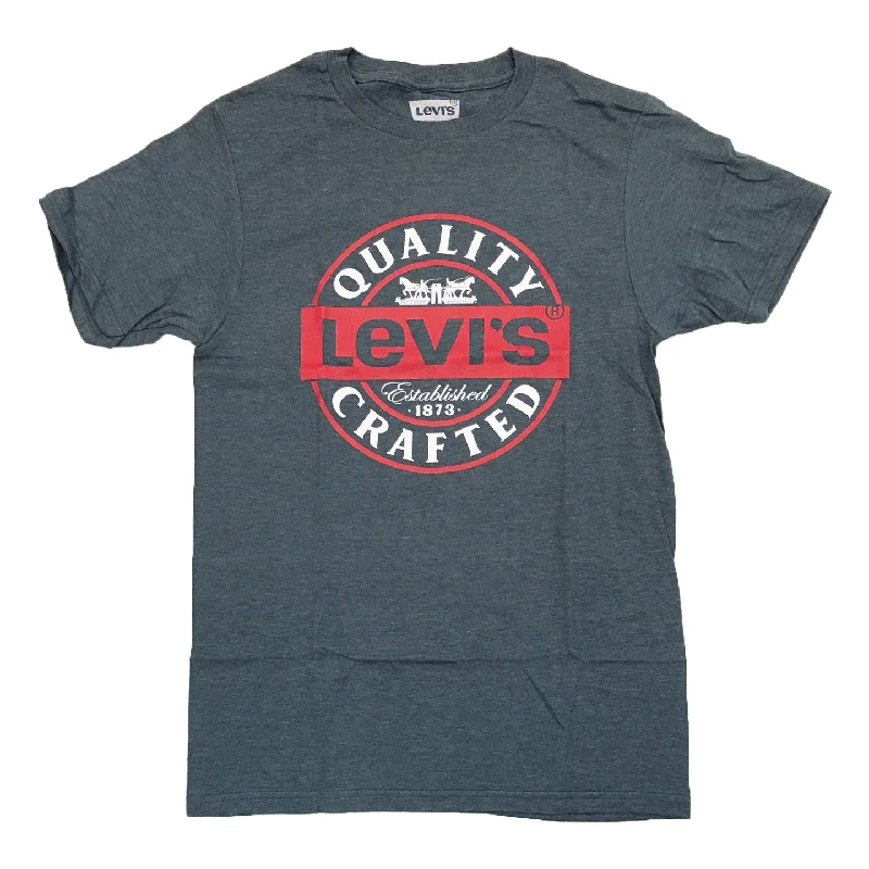 LEVI'S® GRAPHIC TEE (Blue) / $16.99 2 for $30Metallic T-Shirts